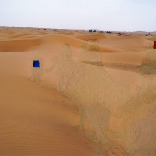 Desert adventures 4